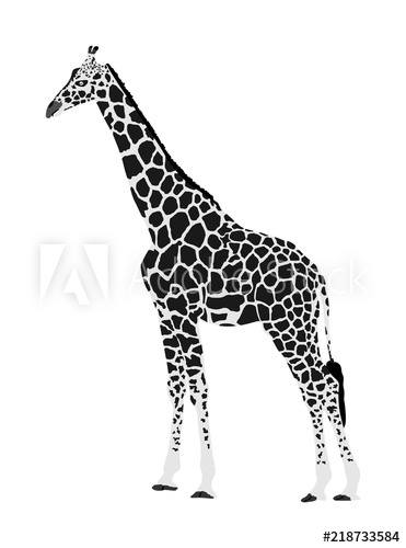 371x500 Giraffe Vector Illustration Isolated On White Background African