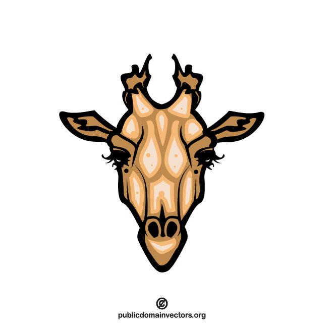660x660 Giraffe Vector Image