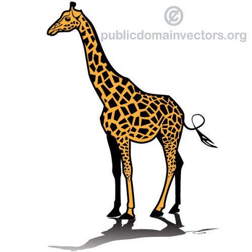 500x500 Giraffe Vector Image