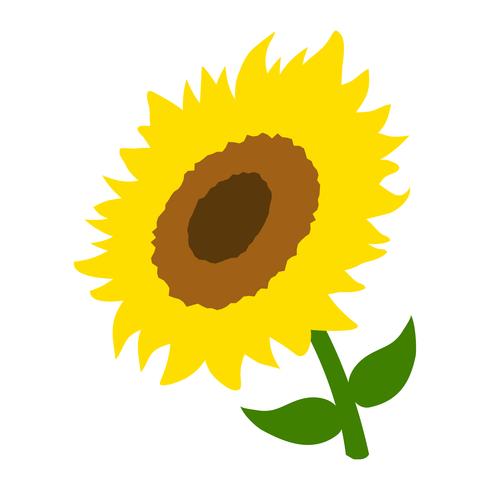 490x490 De Vector De Girasol