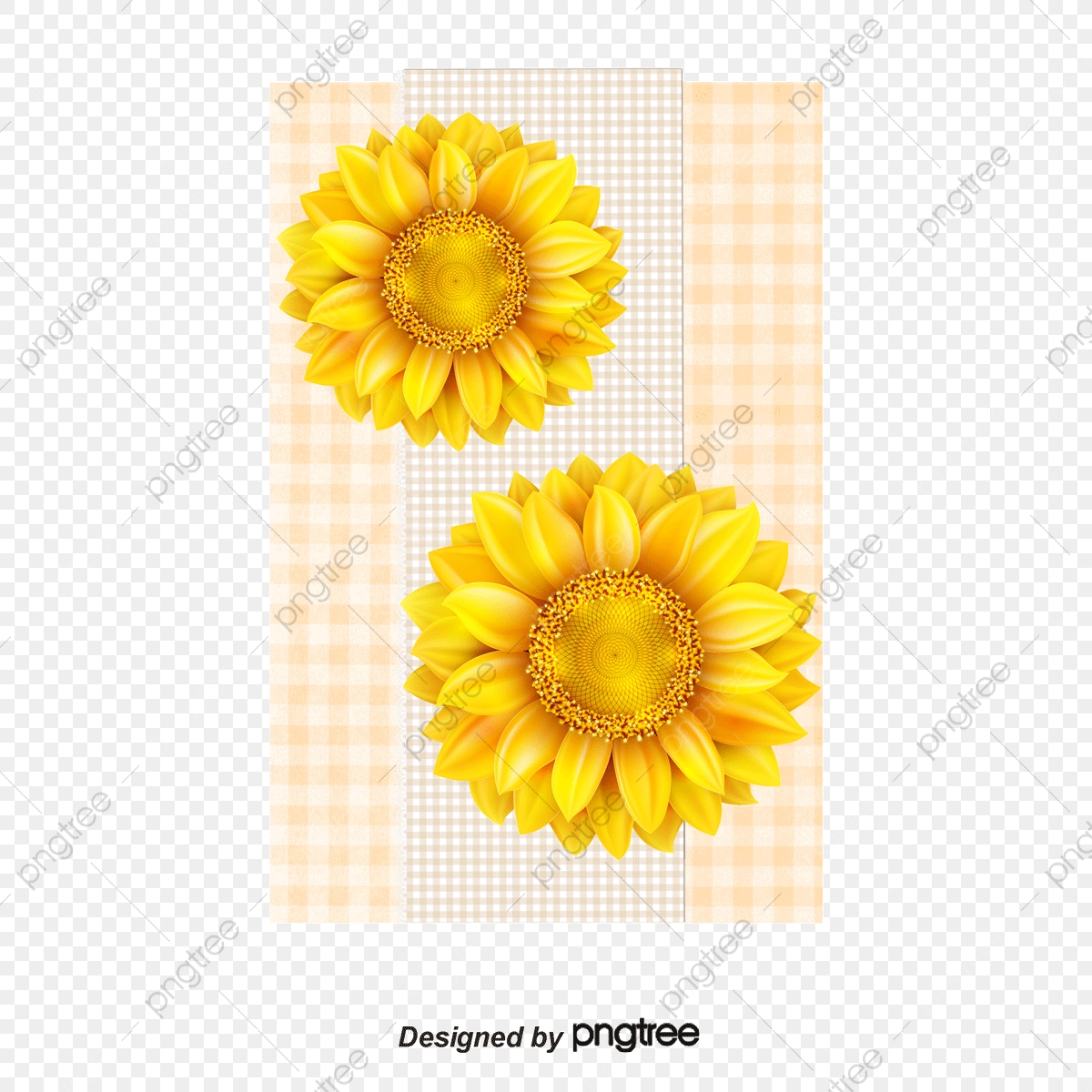 1200x1200 Patron De Girasol Flotante, Float, Girasol, Vector Png Y Vector