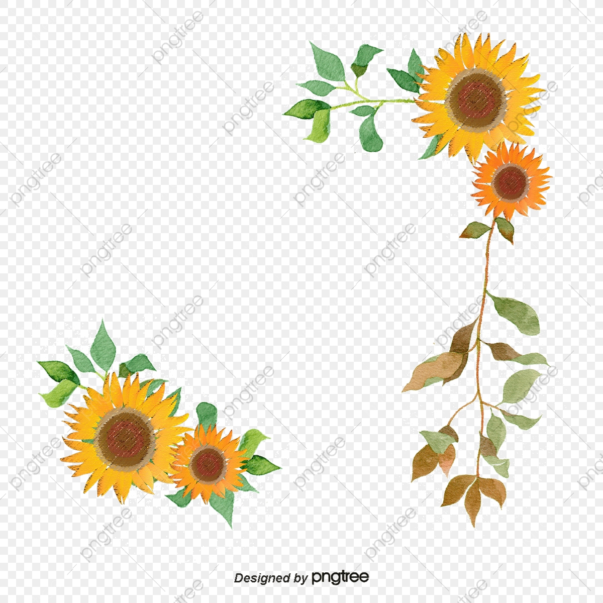 1200x1200 Pintado A Mano De Girasol Vector, Girasol, Patron Decorativo, Lace