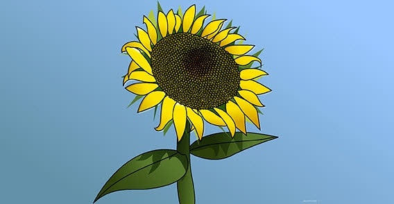 568x294 Sunflower Girasol Free Vector In Adobe Illustrator