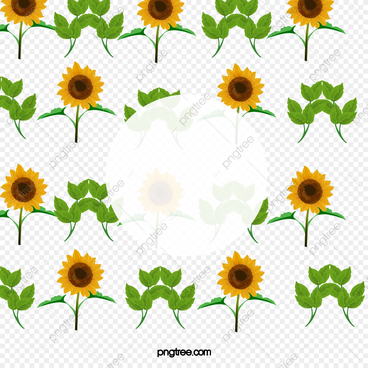 1200x1200 Vector De Girasol, Antecedentes, Verano, Leaf Png Y Vector Para