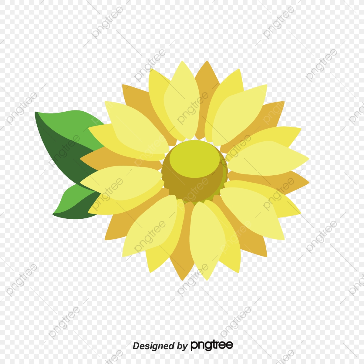 1200x1200 Vector De Girasol, Flor, Bandera, Logo Png Y Vector Para Descargar