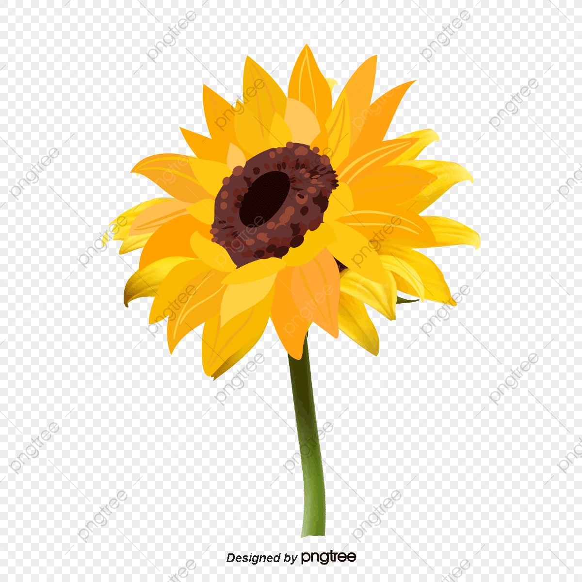 1200x1200 Vector De Girasol, Girasol, Amarillo, Flor Png Y Vector Para