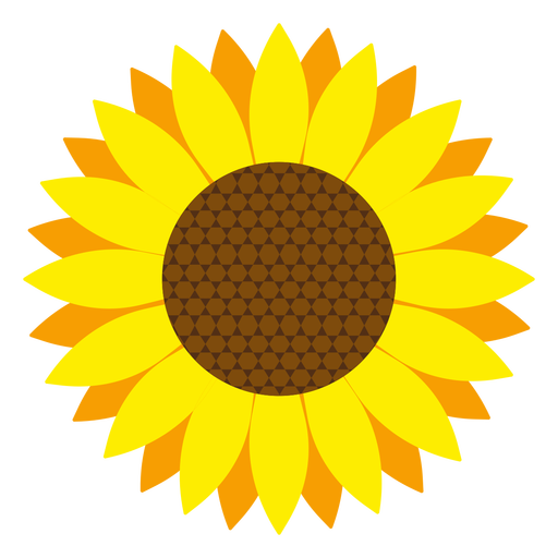 512x512 Vector De Cabeza De Girasol