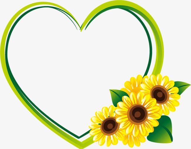 650x507 Girasol Frontera, En Forma De Corazon, Frame, Girasol Png