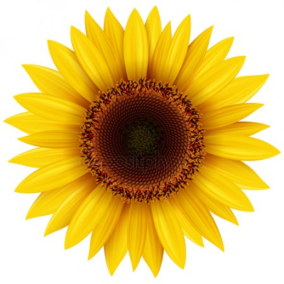 400x400 Free Png Images Free Vectors Graphics