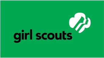 341x190 Girl Scout Awards Images