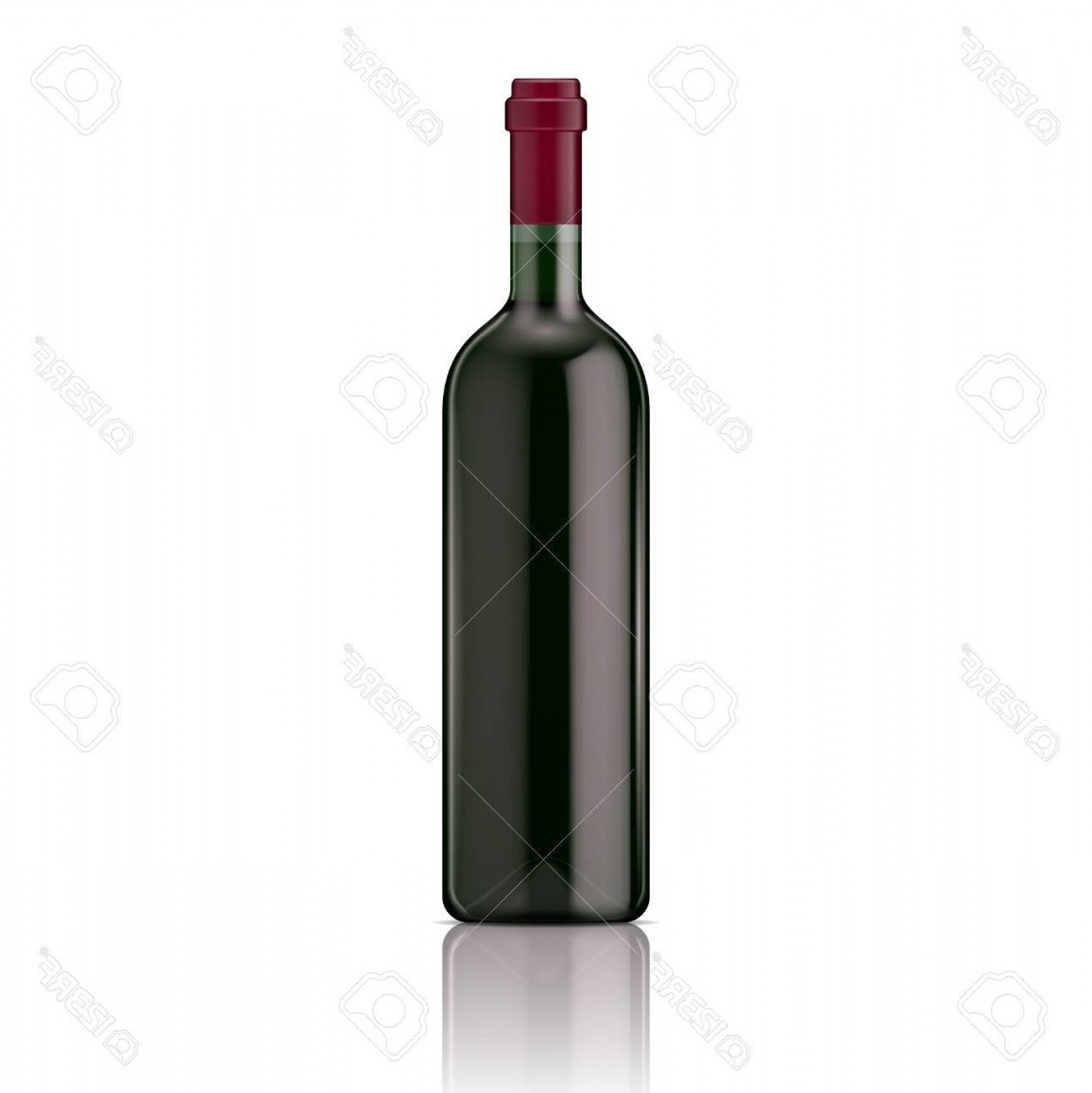 1558x1560 Wine Bottle Vector Illustration Createmepink