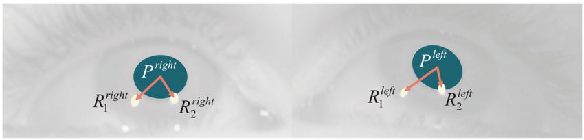 850x204 Pupil Glint Vectors That Are Fed Into The Mapping Function