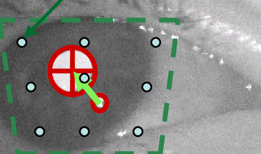 379x224 The Vector From The Glint To The Centre Of The Pupil