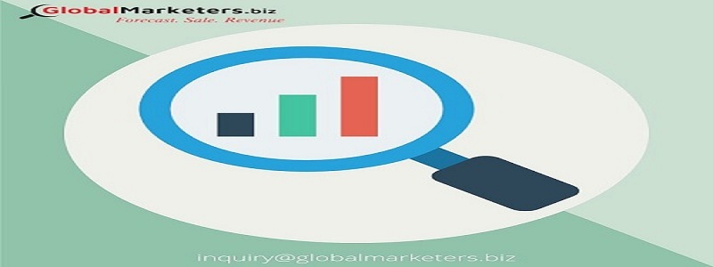 800x300 Global Vector Network Analyzers Market Size, Growth, Analysis