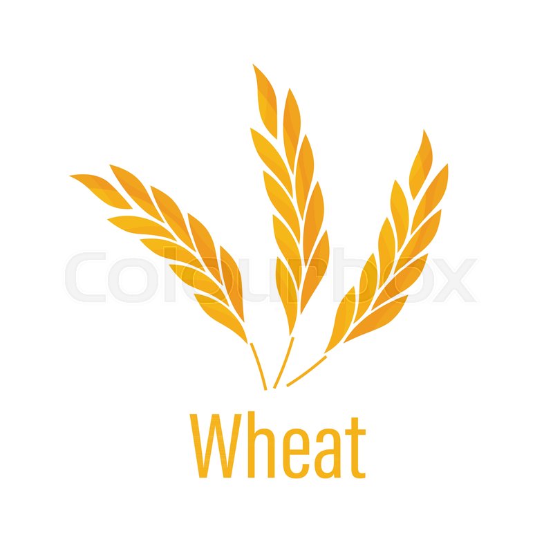800x800 Gluten Free Icon Ears Of Wheat Icon Stock Vector Colourbox