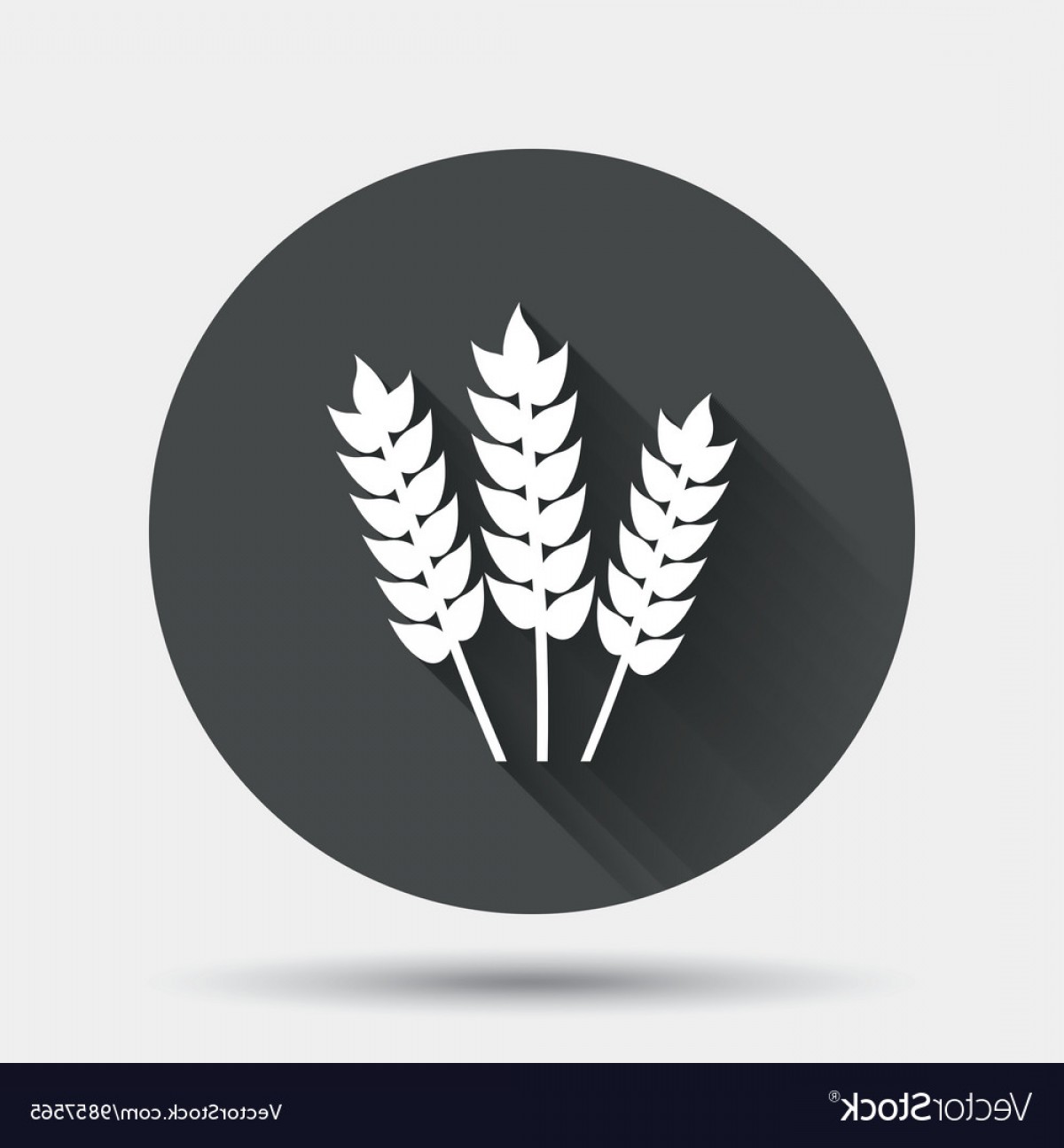 1200x1296 Agricultural Sign Icon Gluten Free Or No Gluten Vector Handandbeak