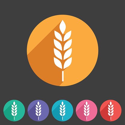 416x416 Gluten Free Vector Icon Flat Web Sign Symbol Logo Label Premium