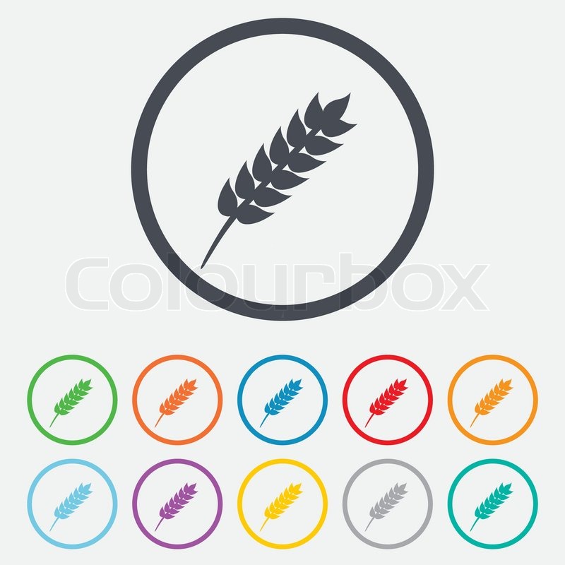 800x800 Gluten Free Sign Icon No Gluten Stock Vector Colourbox