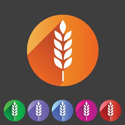 416x416 Gluten Free Vector Icon Flat Web Sign Symbol Logo Label Premium