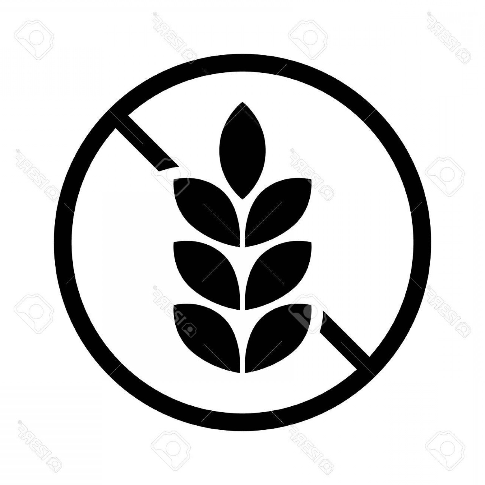 1560x1560 Gluten Vector Handandbeak