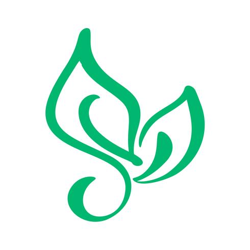 490x490 Logo Of Green Leaf Of Tea Ecology Nature Element Vector Icon
