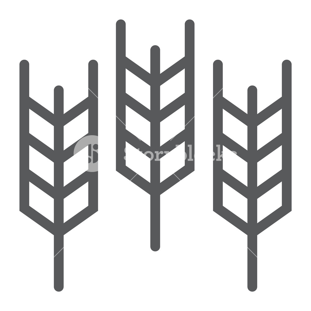 1000x1000 Wheat Line Icon, Grain And Gluten, Bread Sign, Vector Graphics