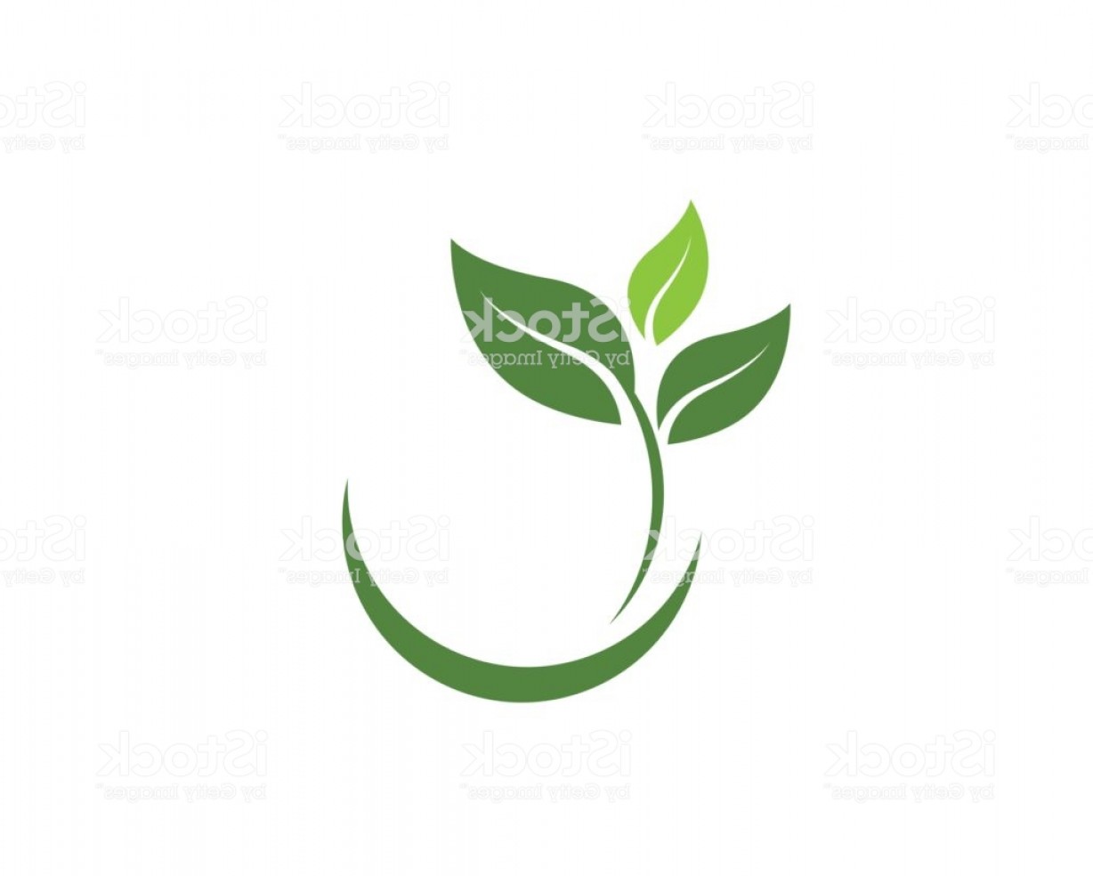 1228x984 Tree Leaf Vector Logo Design Gm Hoodamathrun