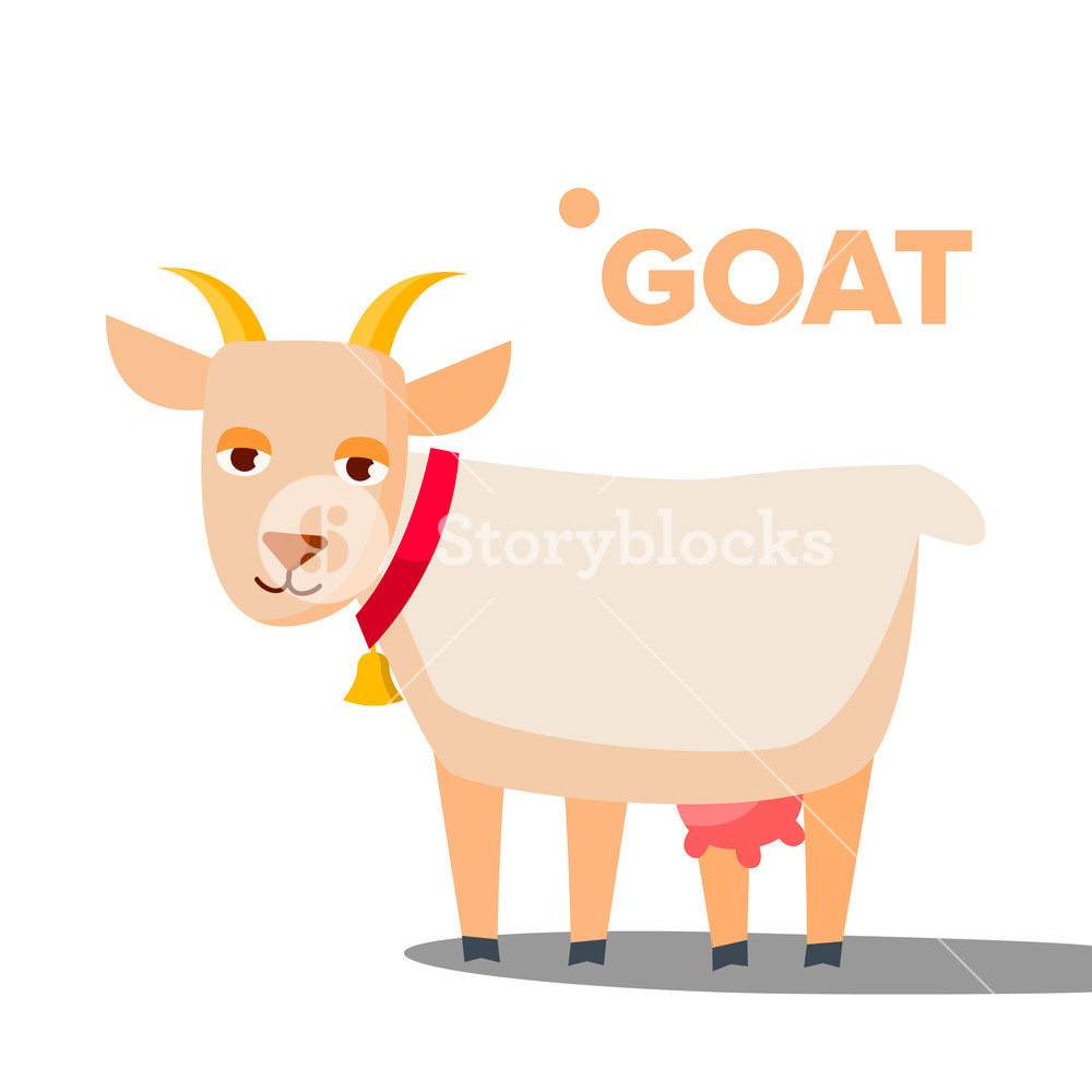 Goat Vector Funny Animal Isolated Flat Cartoon Illustration 1000x1000 Goat Vector Funny Animal Isolated Flat Cartoon Illustration