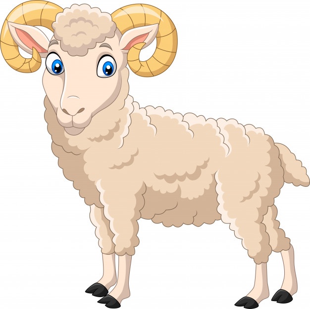 Goat Vectors, Photos And Free Download 626x625 Goat Vectors, Photos And Free Download