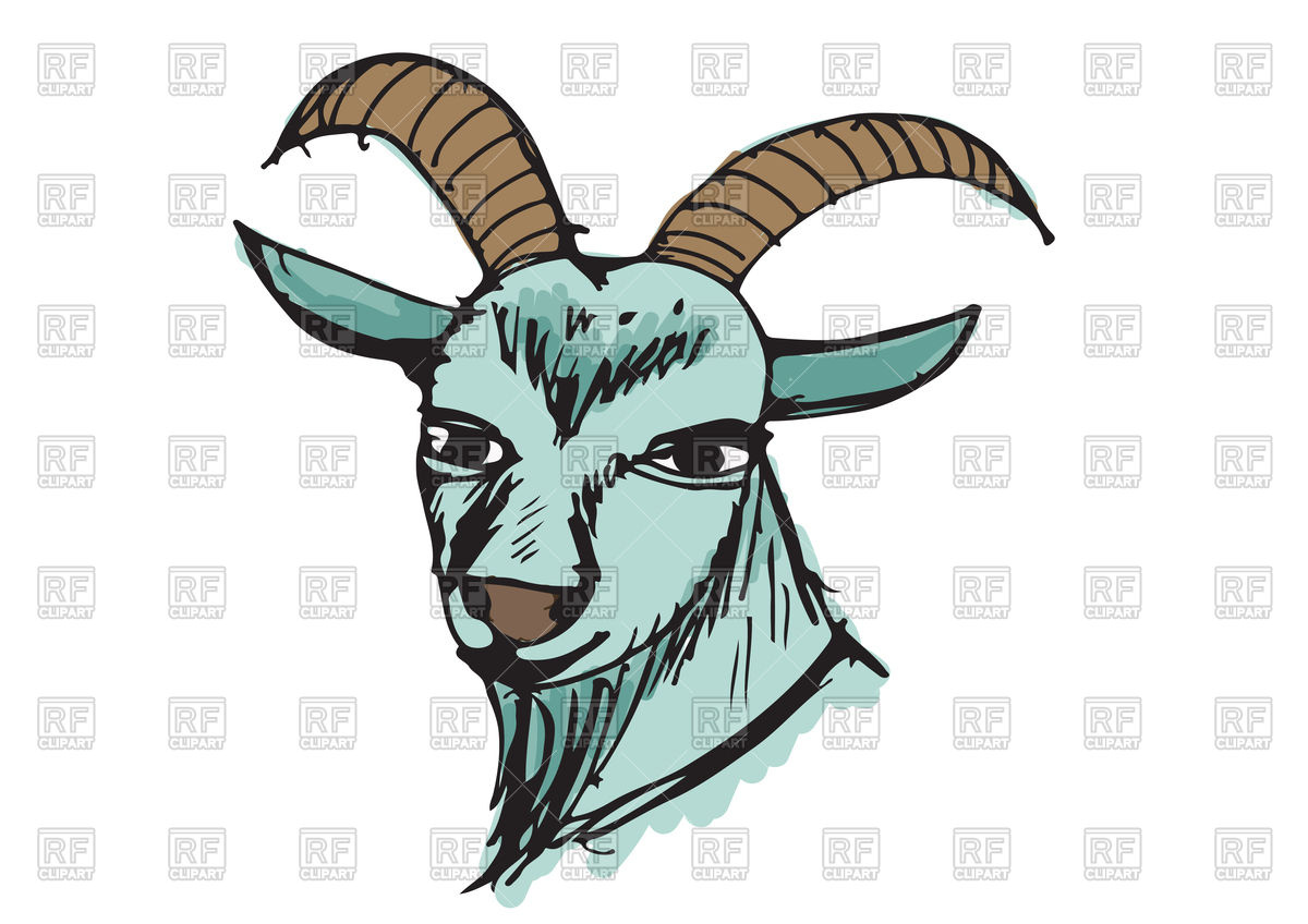 Goat Cartoon Illustration On White Vector Image Of Plants 1200x848 Goat Cartoon Illustration On White Vector Image Of Plants