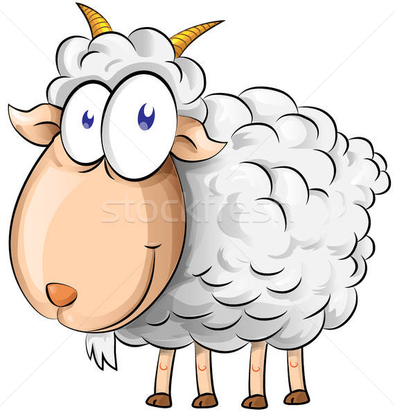 Goat Cartoon Isolated On White Background Vector Illustration 570x600 Goat Cartoon Isolated On White Background Vector Illustration