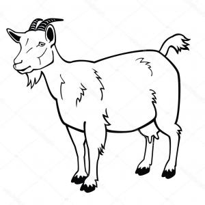 Hd With Baby Goat Vector Free Studiogrfx 300x300 Hd With Baby Goat Vector Free Studiogrfx
