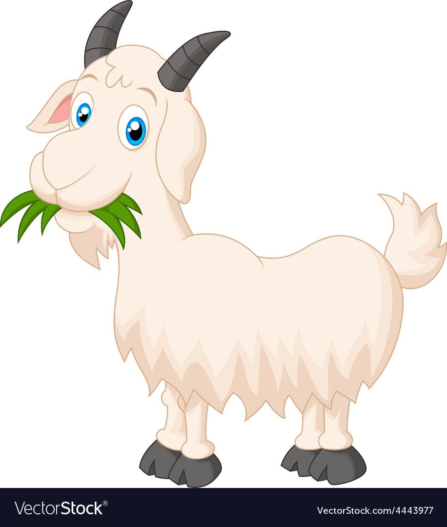 Beautiful Goat Cartoon, Cartoon Cow 916x1080 Beautiful Goat Cartoon, Cartoon Cow