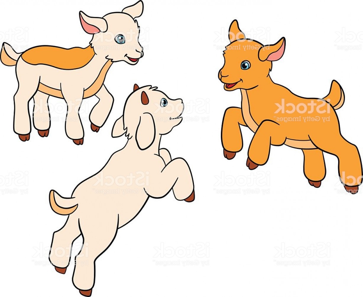 Vector Graphics Of Goats Studiogrfx 1228x1005 Vector Graphics Of Goats Studiogrfx