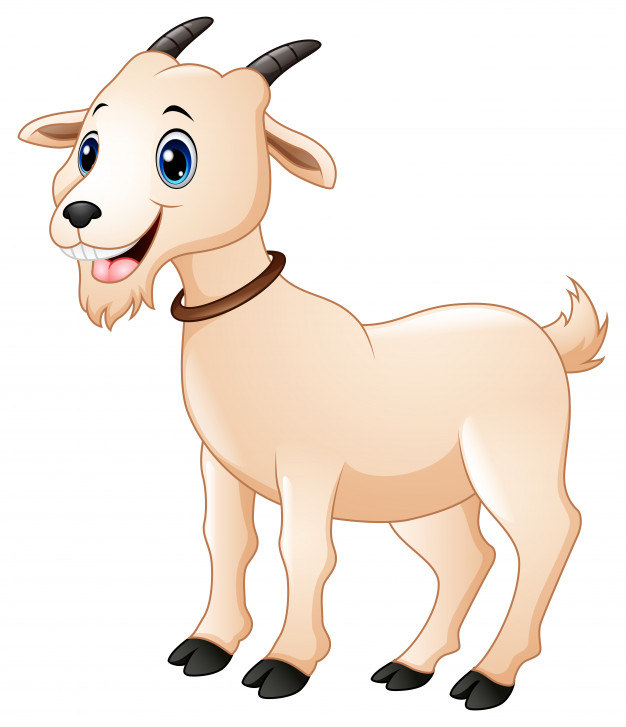 Vector Illustration Of Cute Goat Cartoon Vector Premium Download 626x727 Vector Illustration Of Cute Goat Cartoon Vector Premium Download
