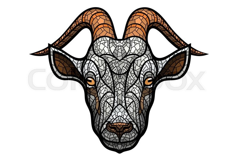 800x533 Goat Head On White Background In Stock Vector Colourbox