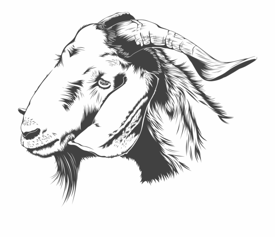 920x792 Goat Animal Farm Vector Png Image