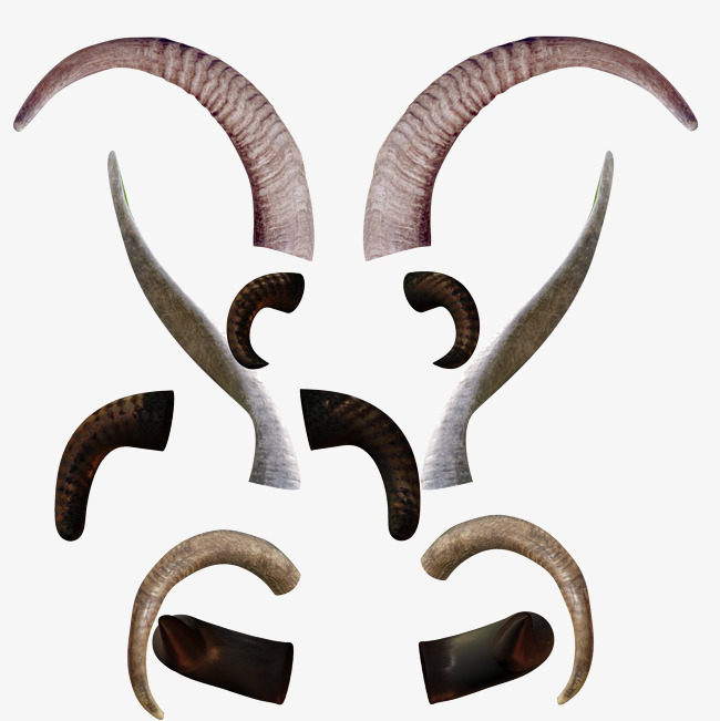 Goat Horns Vector