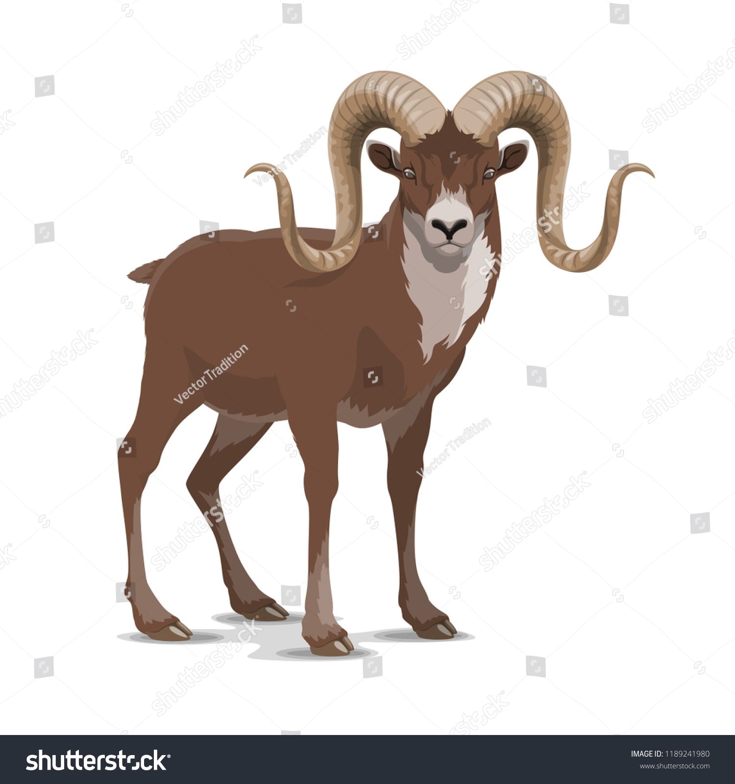 1500x1600 Markhor Or Screw Horn Wild Vector Goat Flare Astore Markhor