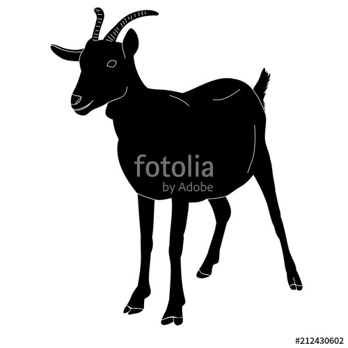 500x500 Black Silhouette Goat With Horns Stock Image And Royalty Free