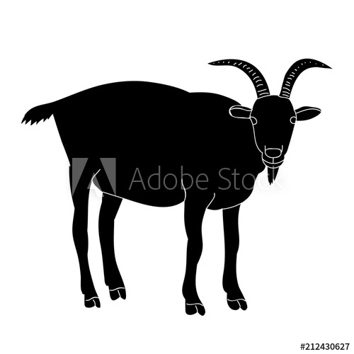 500x500 Isolated Silhouette Goat With Horns