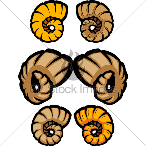 500x500 Collection Of Ram Horns Vector Illustrations Gl Stock Images