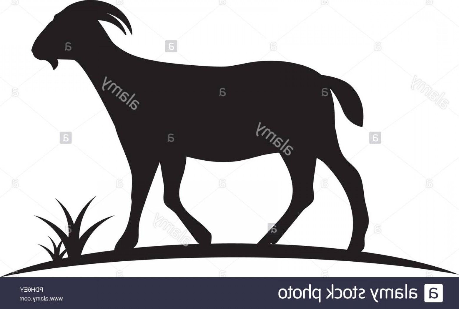 1560x1050 Goat Logo Template Vector Icon Illustration Design Image Soidergi