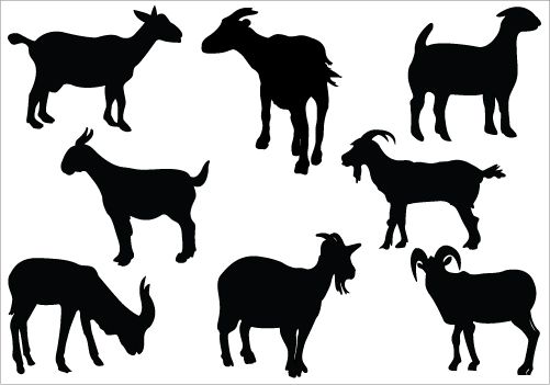 501x351 Goat Silhouette Clip Art Pack Diy Crafts Silhouette Clip Art