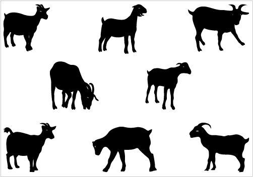 502x352 Collection Of 'pygmy Goat Silhouette' Download More Than
