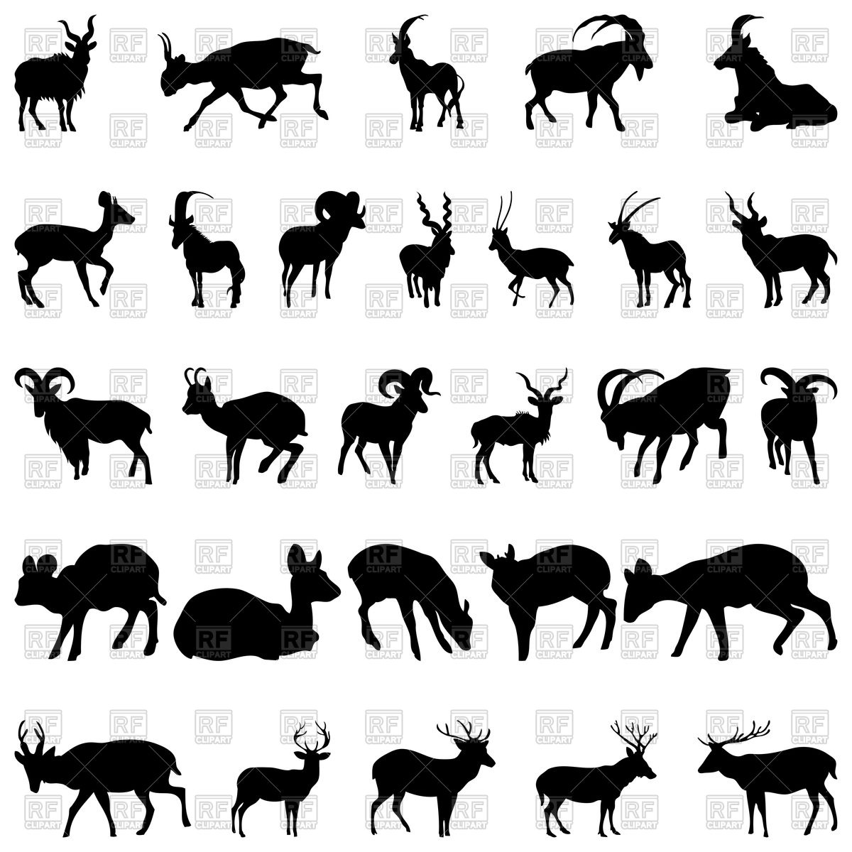 1200x1200 Set Of Deer And Goats