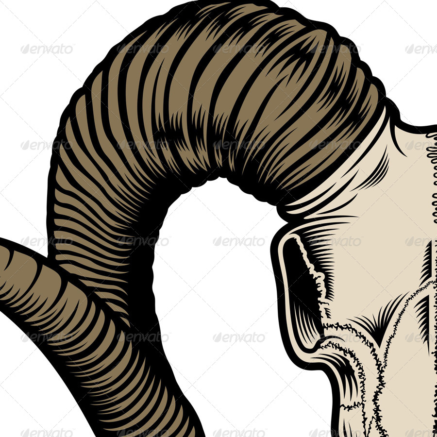 900x900 Goat Skull Vector