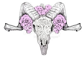 295x200 Goat Skull Vector Stock Vectors