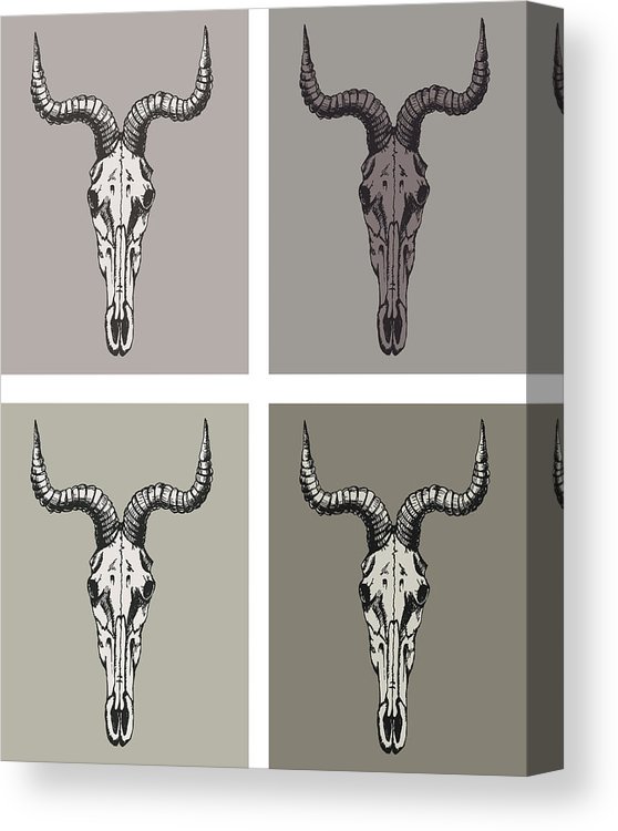 558x750 Hand Drawn Goat Skull Vector Canvas Print Canvas Art
