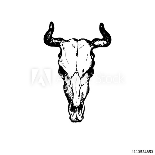 500x500 Hand Drawn Goat Skull Vector Illustration On White Background
